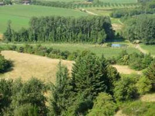 assainissement assainissement